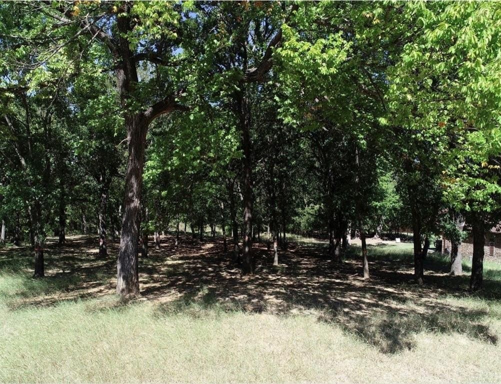 1.09 acres in Parker County - photo 8