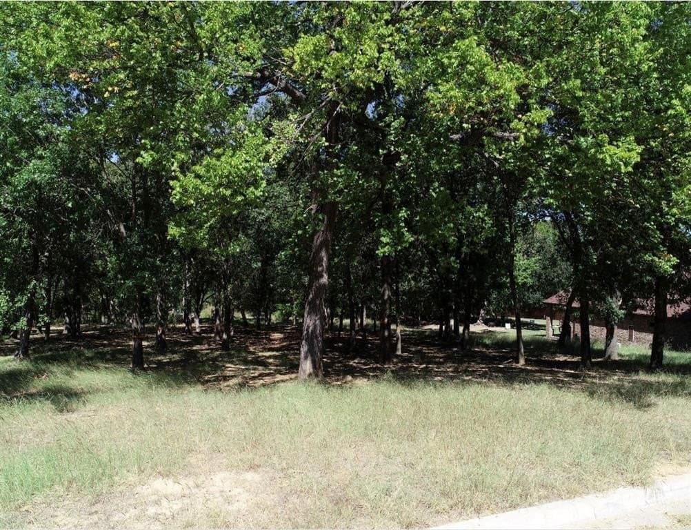 1.09 acres in Parker County - photo 5