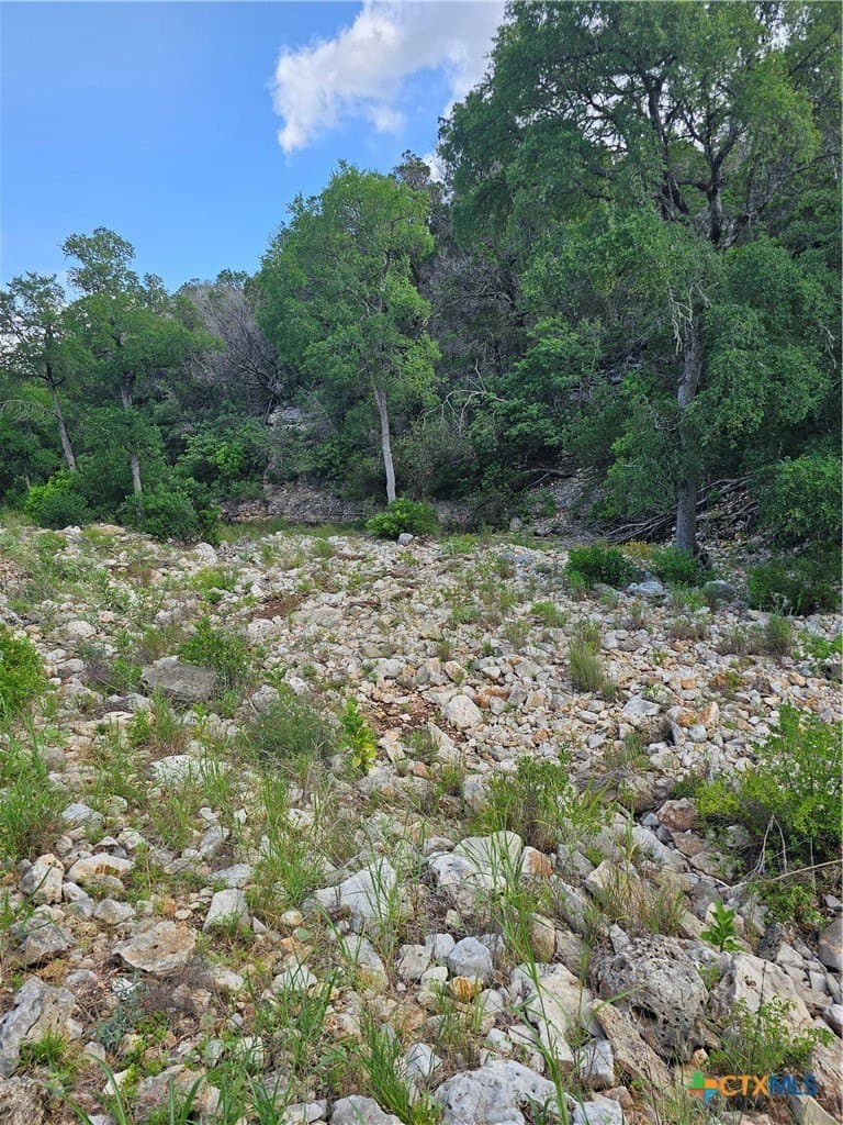 20 acres in Comal County - photo 2