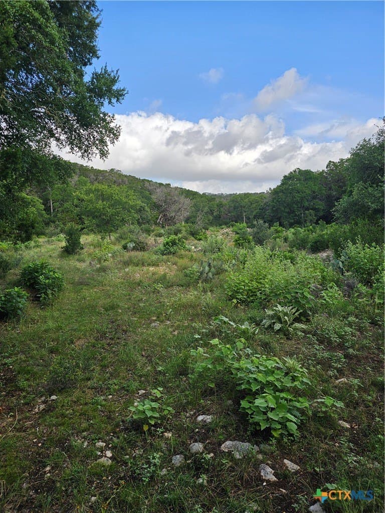 20 acres in Comal County - photo 3