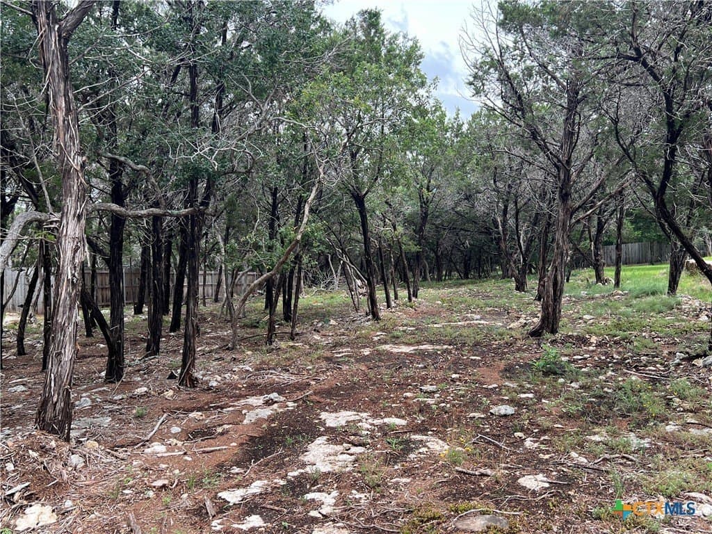 0.34 acres in Bell County - photo 2