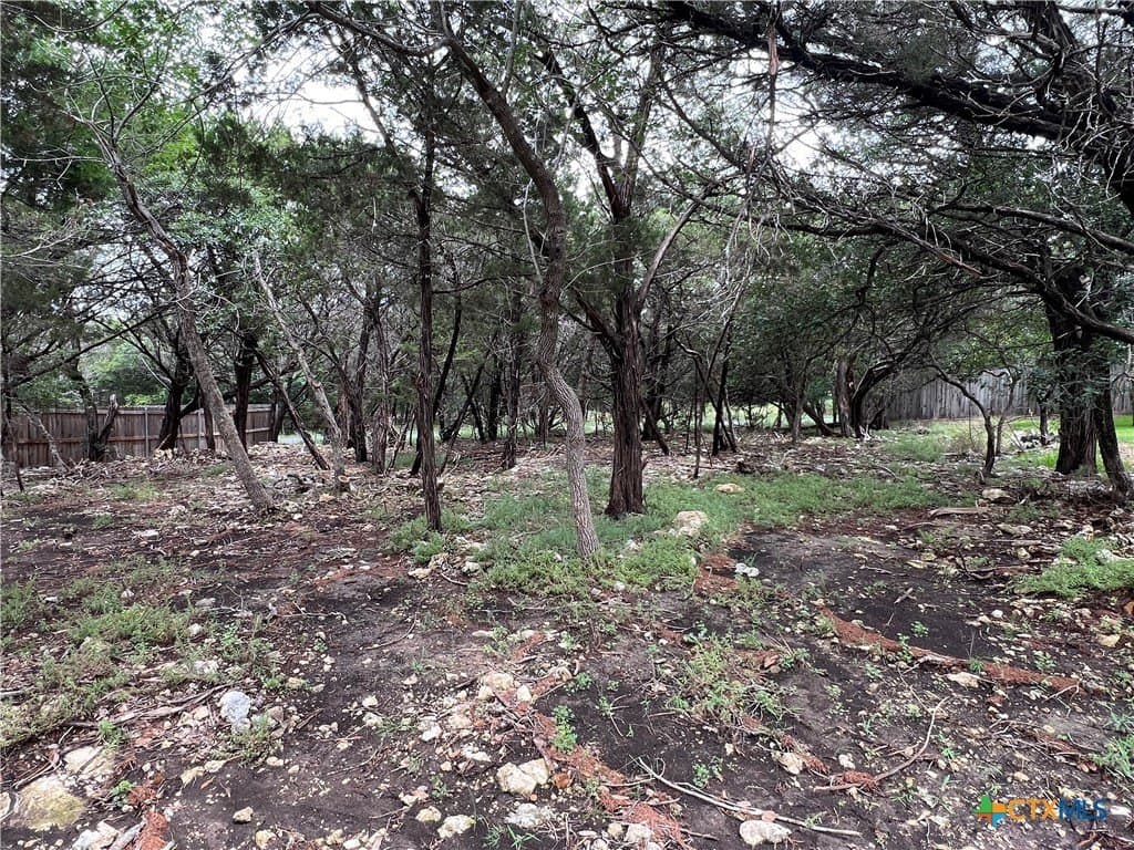 0.34 acres in Bell County - photo 3