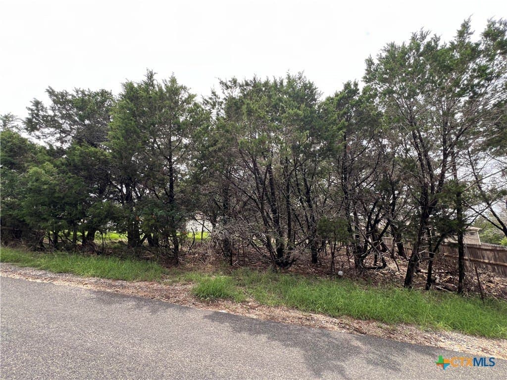 0.34 acres in Bell County - photo 4