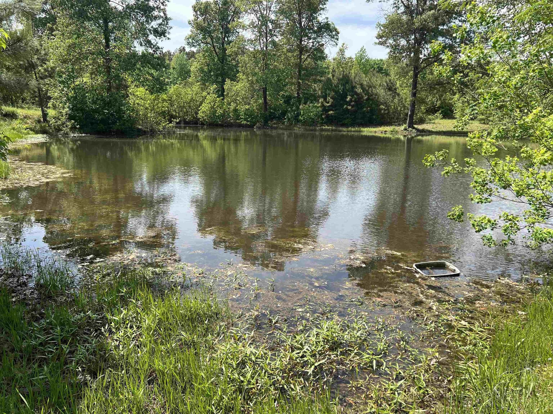 10.3 acres in Panola County - photo 7