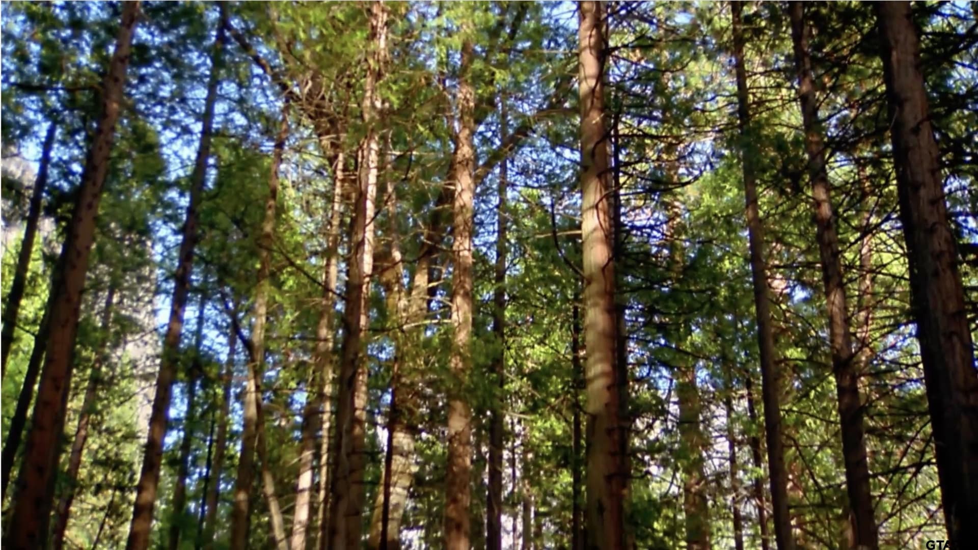 1.72 acres in Anderson County - photo 22