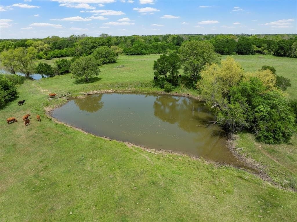 97.59 acres in McLennan County - photo 36