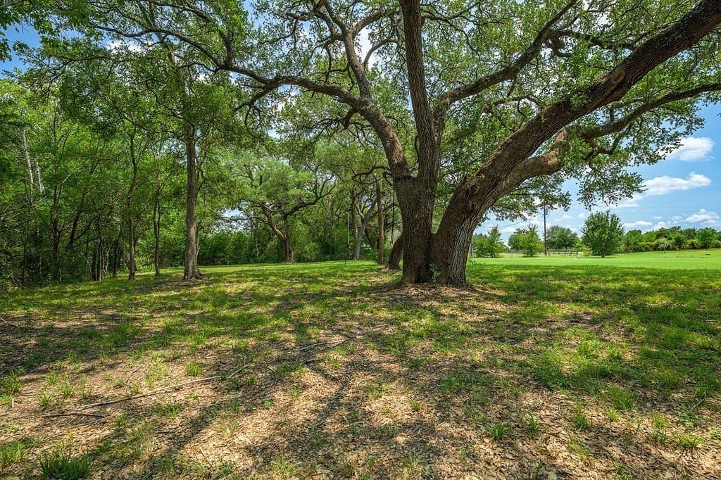 3 acres in Fayette County - photo 19