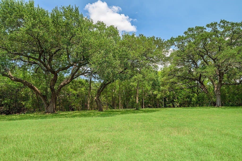 3 acres in Fayette County - photo 18