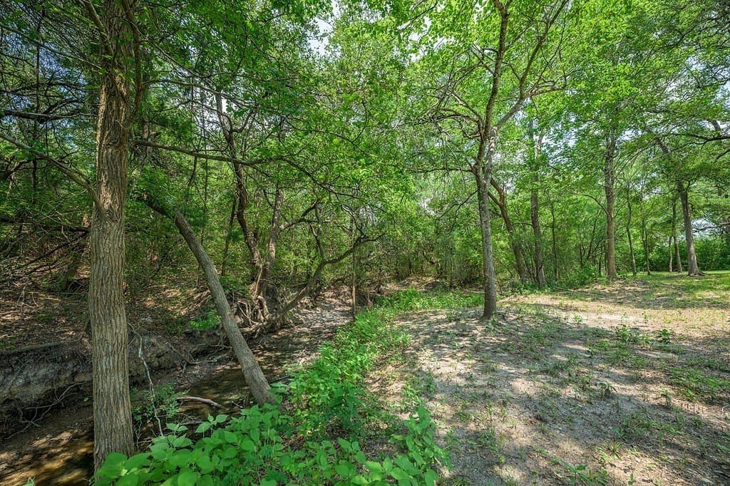3 acres in Fayette County - photo 17
