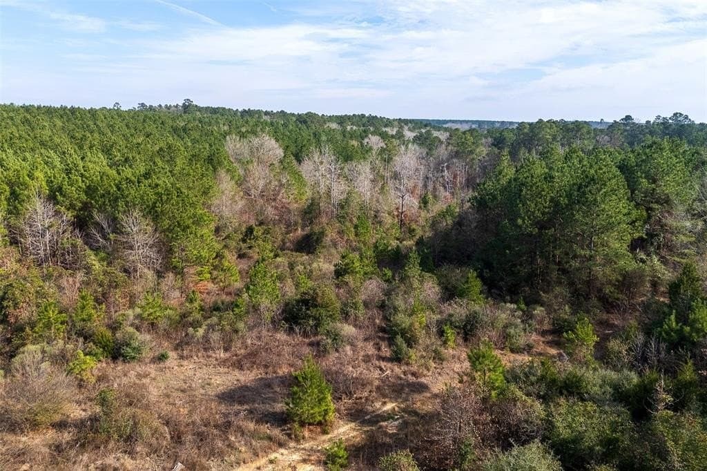 53.5 acres in Shelby County - photo 2