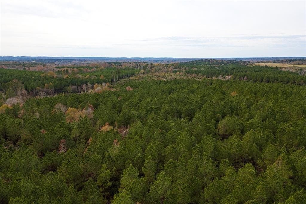 53.5 acres in Shelby County - photo 19