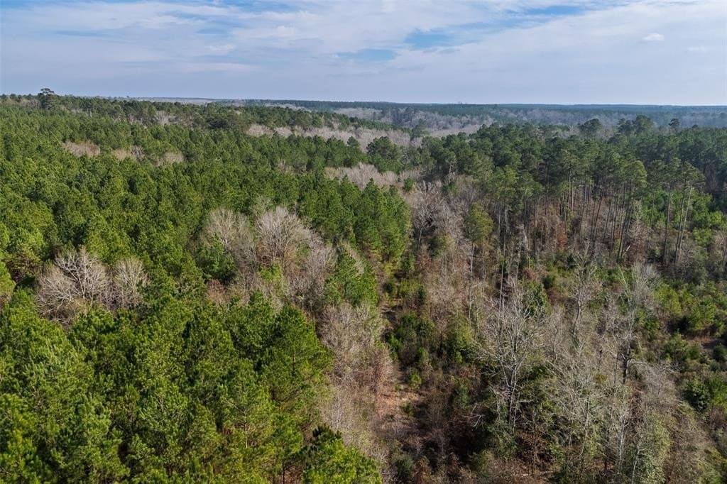 53.5 acres in Shelby County - photo 13