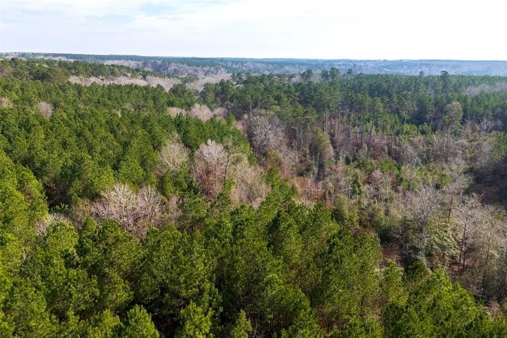 53.5 acres in Shelby County - photo 12