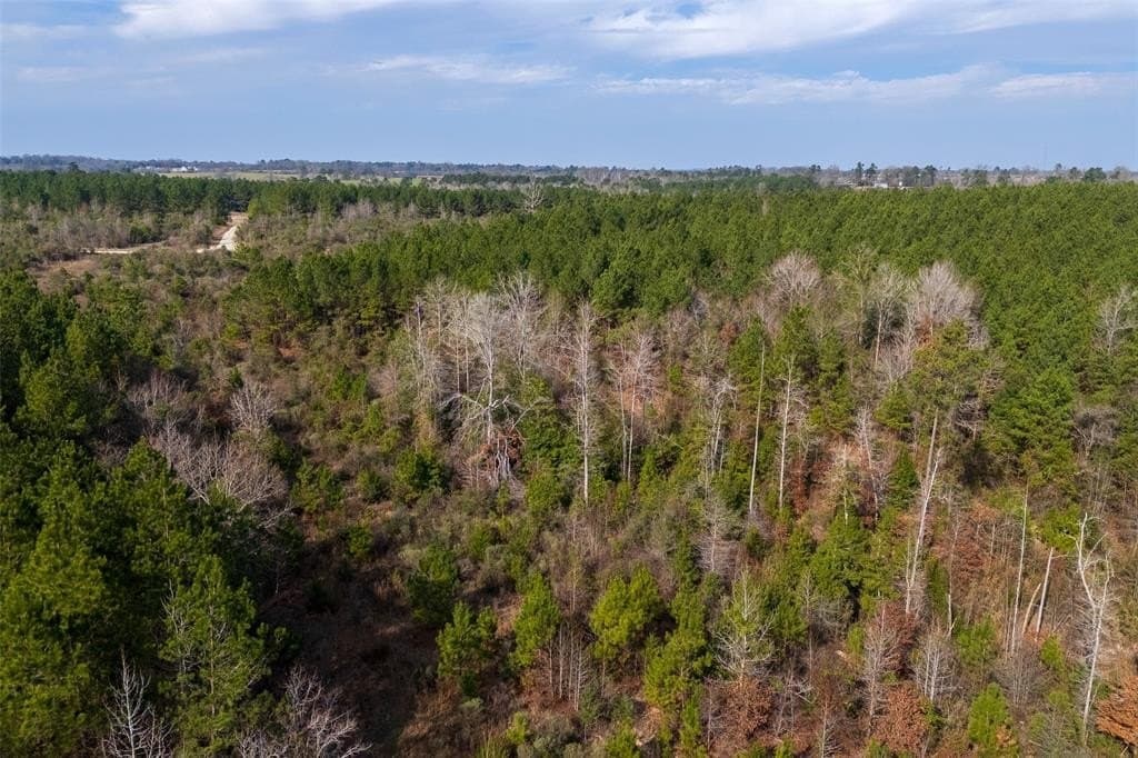 53.5 acres in Shelby County - photo 3