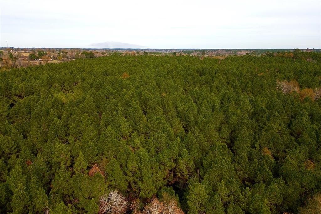 53.5 acres in Shelby County - photo 21