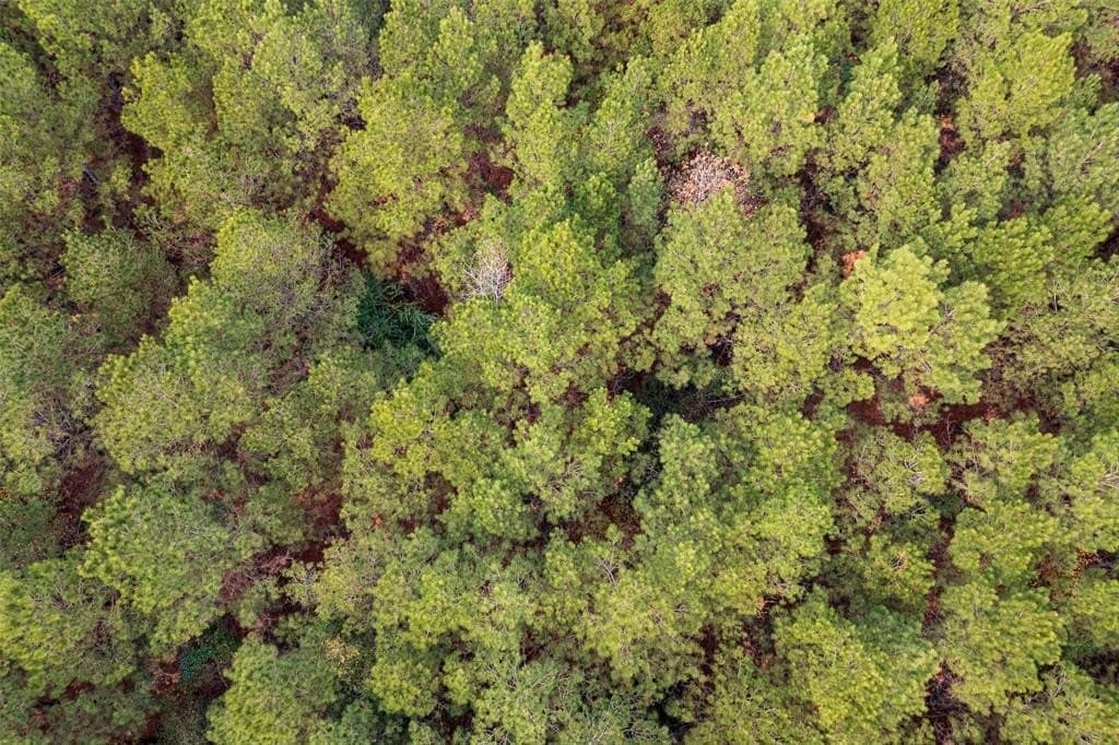 53.5 acres in Shelby County - photo 23