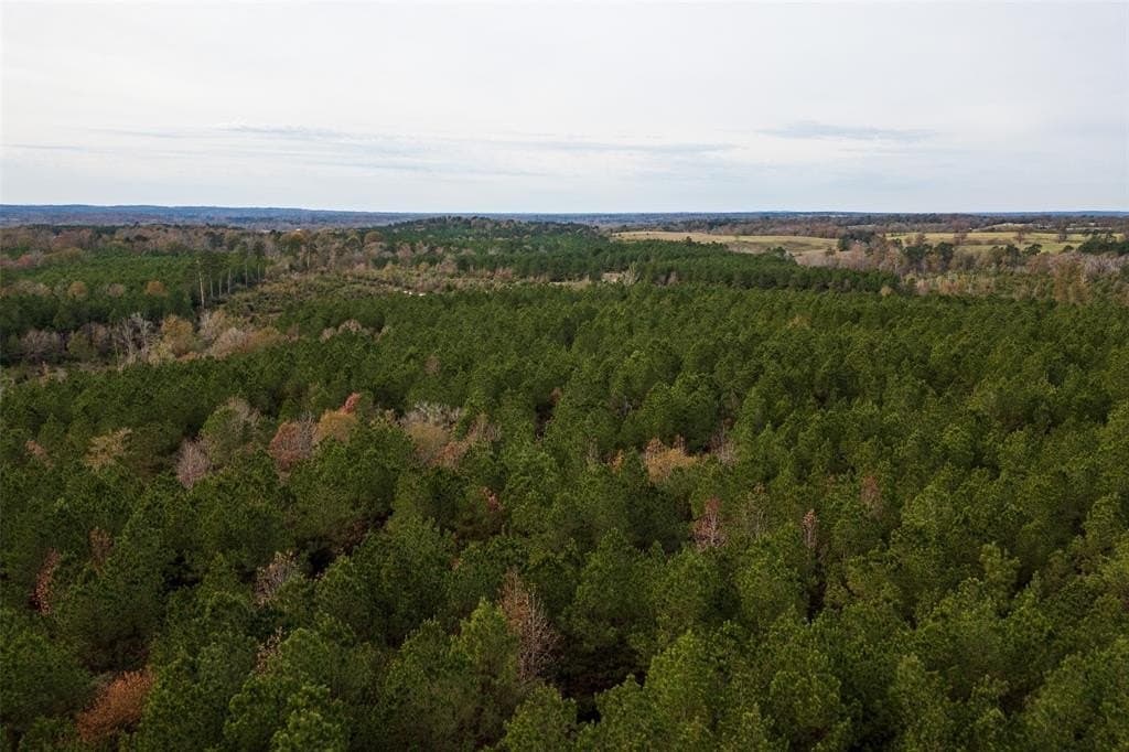 53.5 acres in Shelby County - photo 20