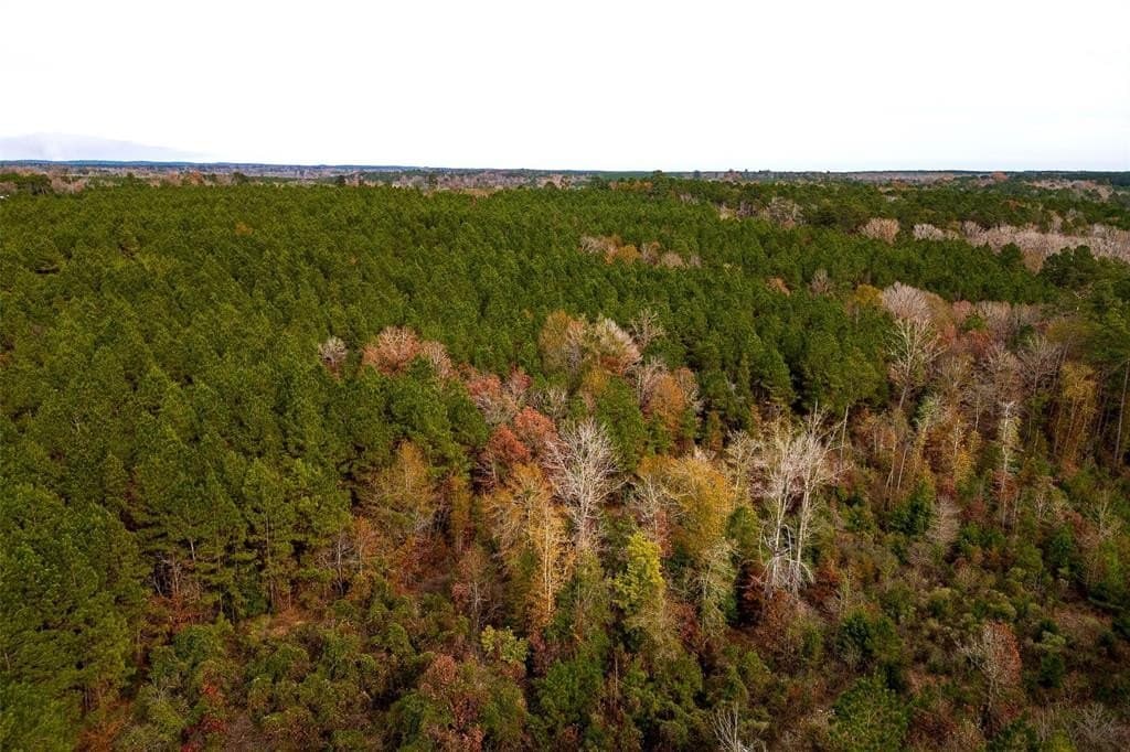 53.5 acres in Shelby County - photo 5