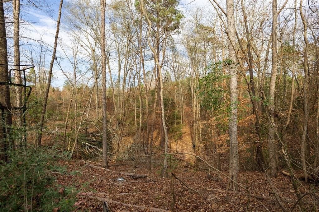 53.5 acres in Shelby County - photo 9