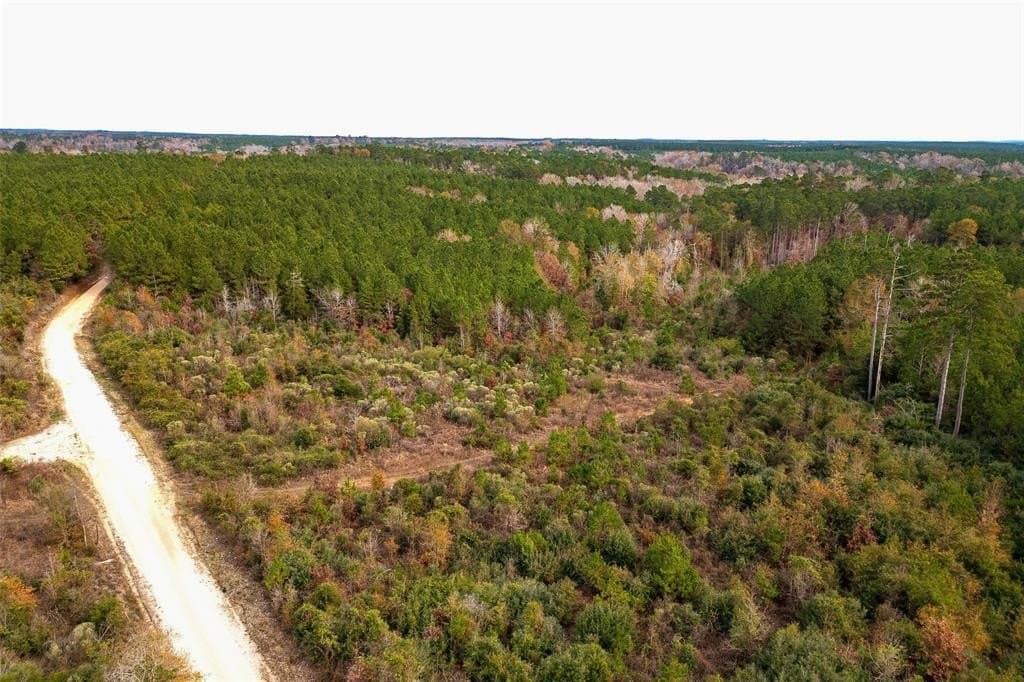 53.5 acres in Shelby County - photo 4
