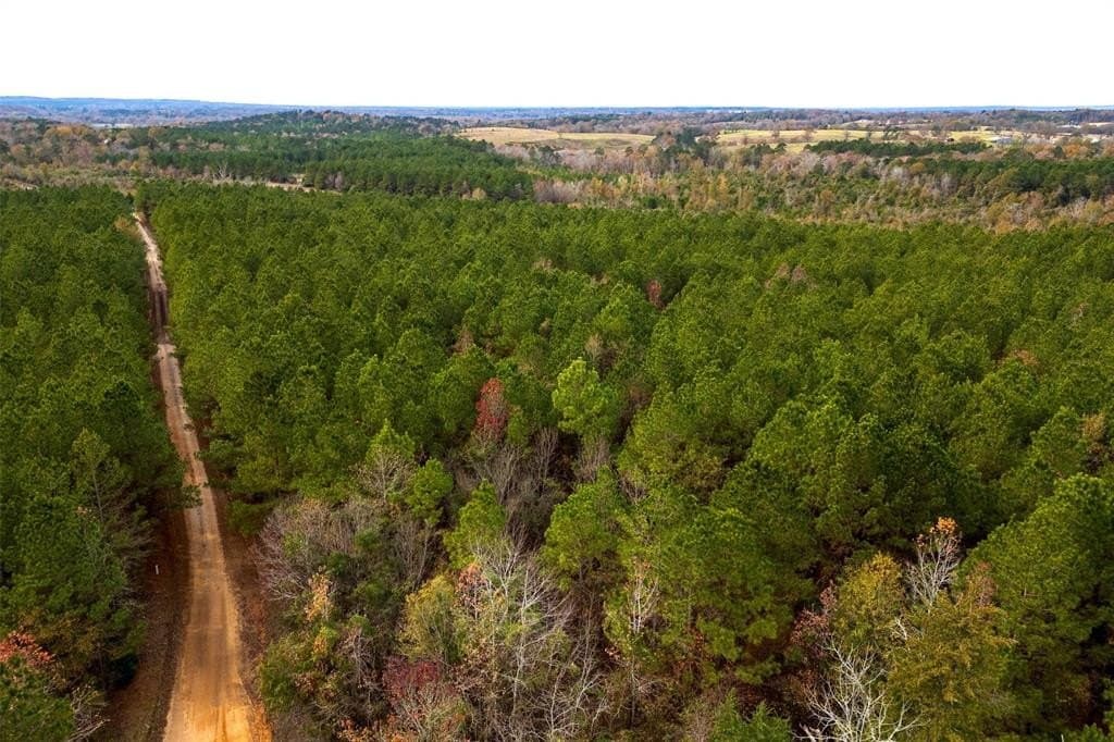 53.5 acres in Shelby County - photo 10