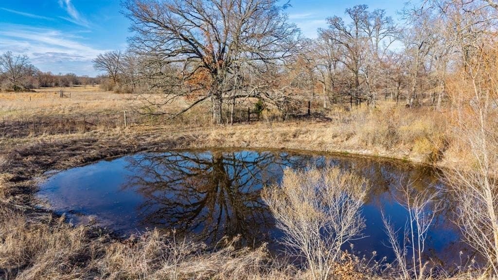 24.83 acres in Hopkins County - photo 8