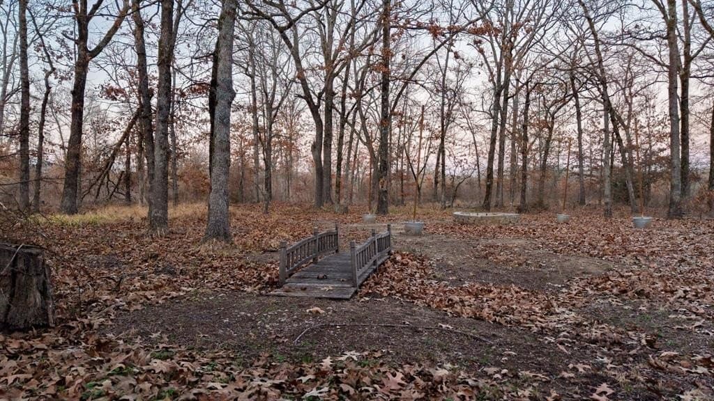 24.83 acres in Hopkins County - photo 35