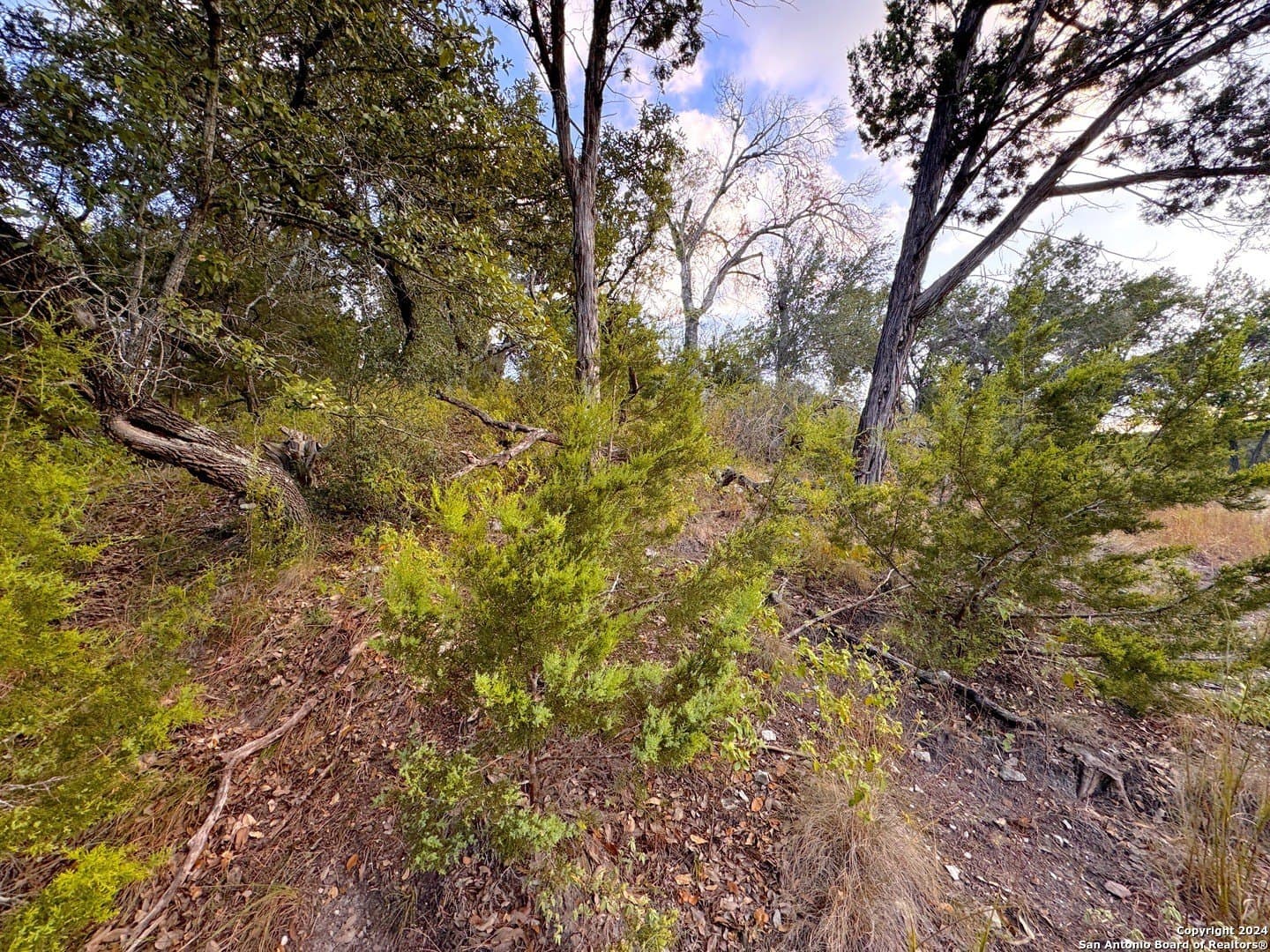 0.33 acres in Comal County - photo 5