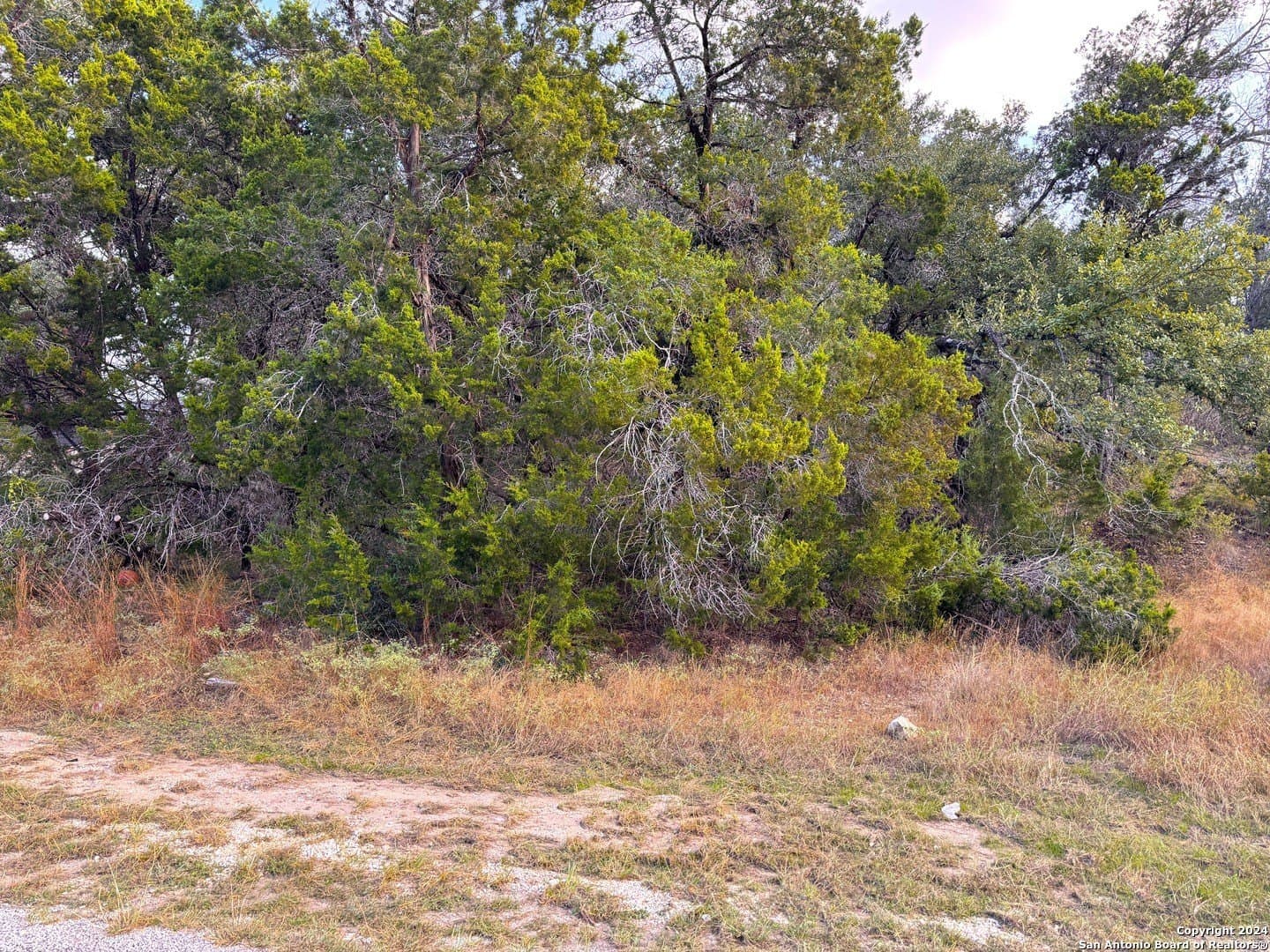 0.33 acres in Comal County - photo 3