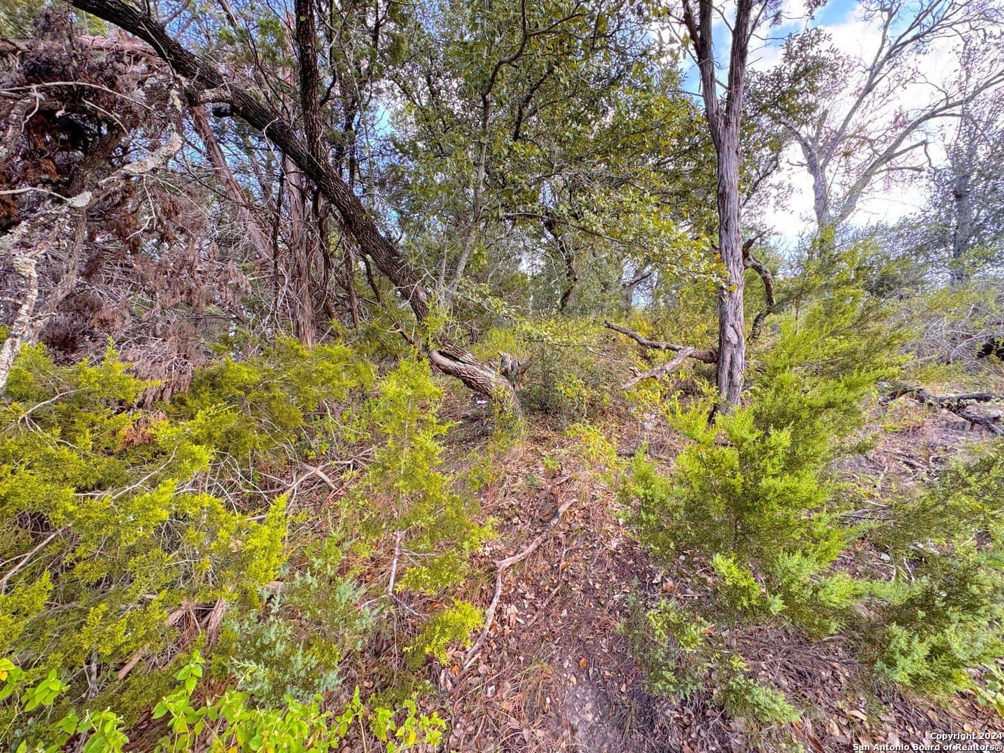 0.33 acres in Comal County - photo 4
