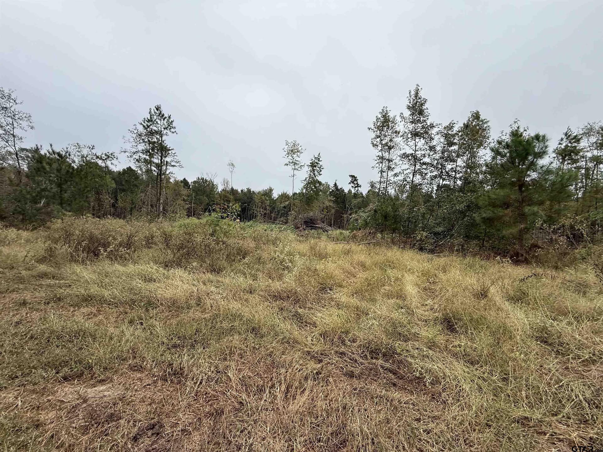 15.36 acres in Rusk County - photo 3