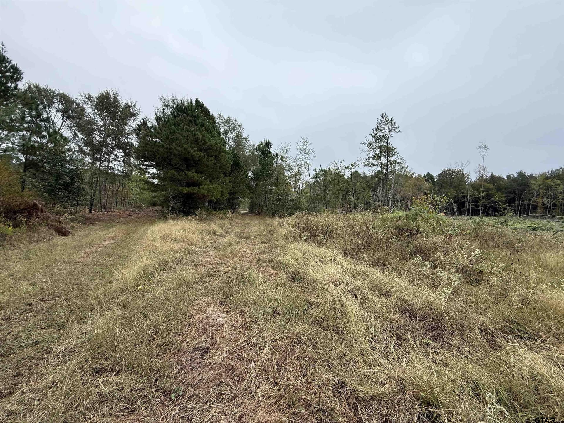 15.36 acres in Rusk County - photo 2