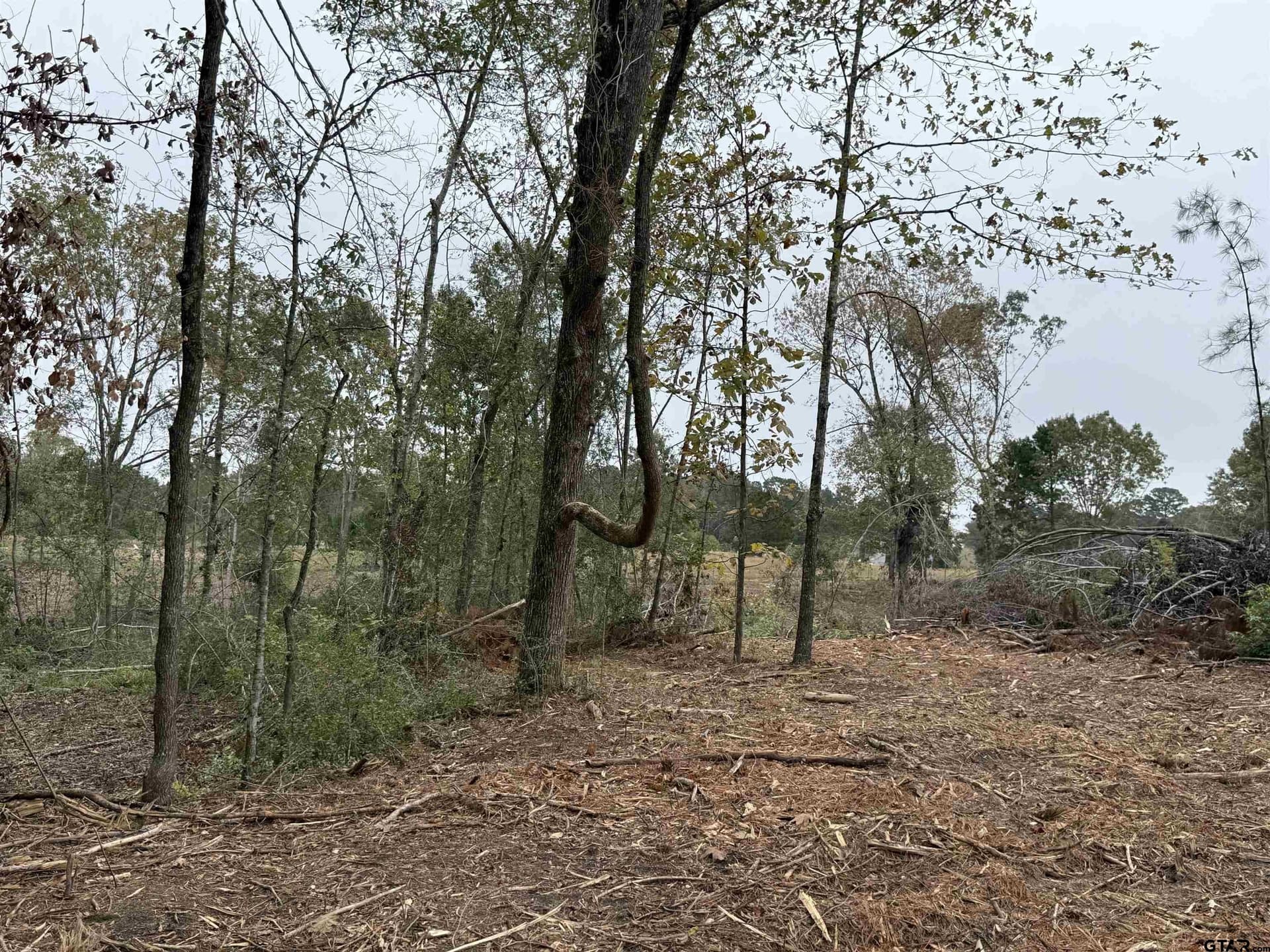 15.36 acres in Rusk County - photo 5