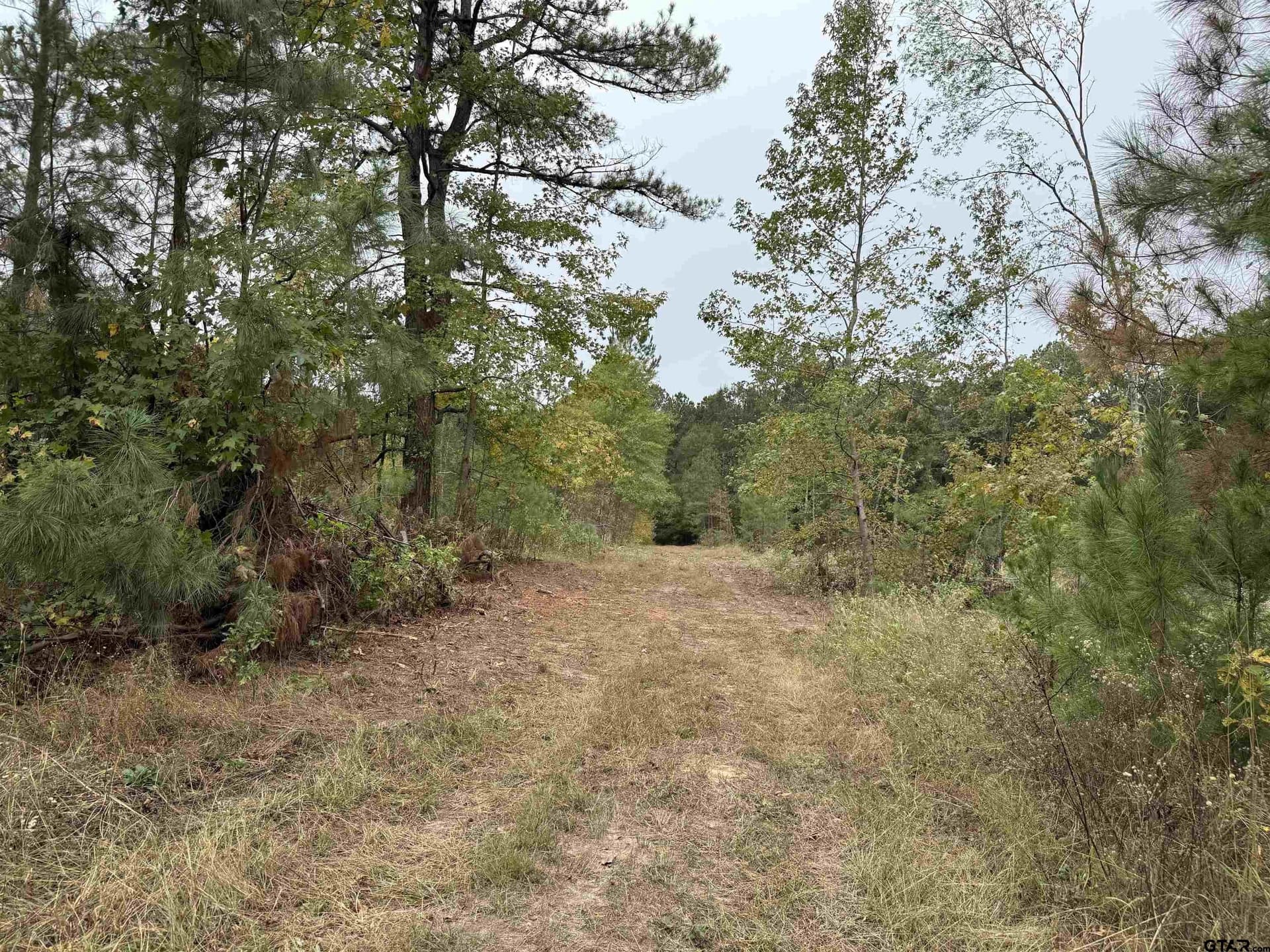 TBD CR 314 -  15  acres