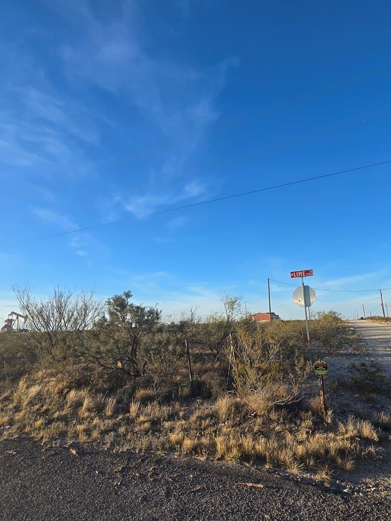 8.29 acres in Ector County - photo 5