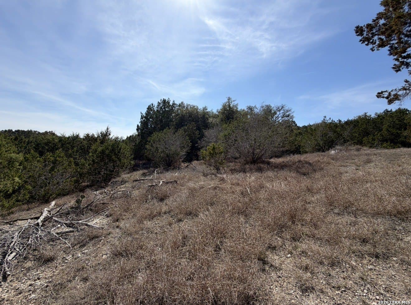 5 acres in Comal County - photo 6