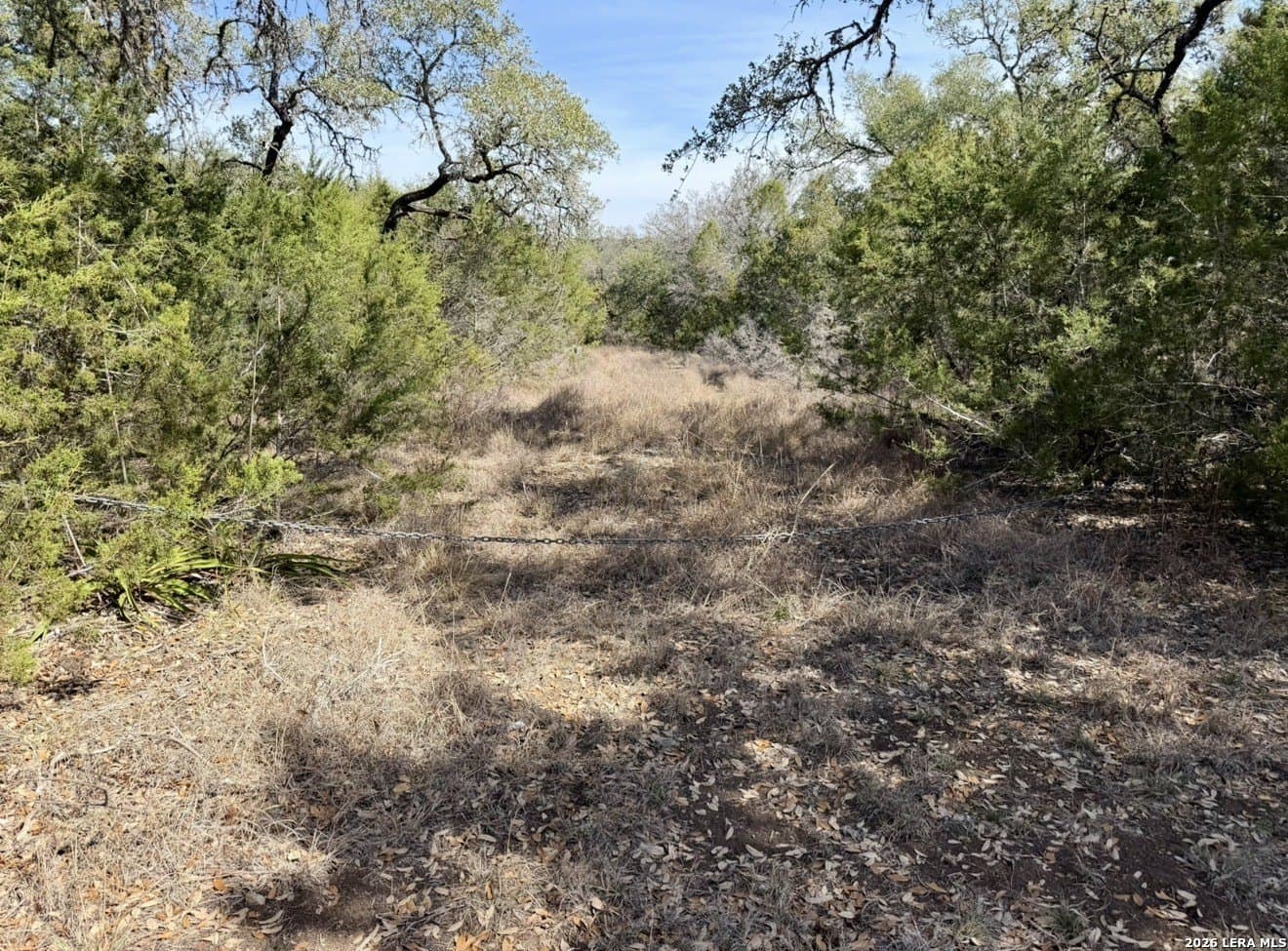 5 acres in Comal County - photo 3