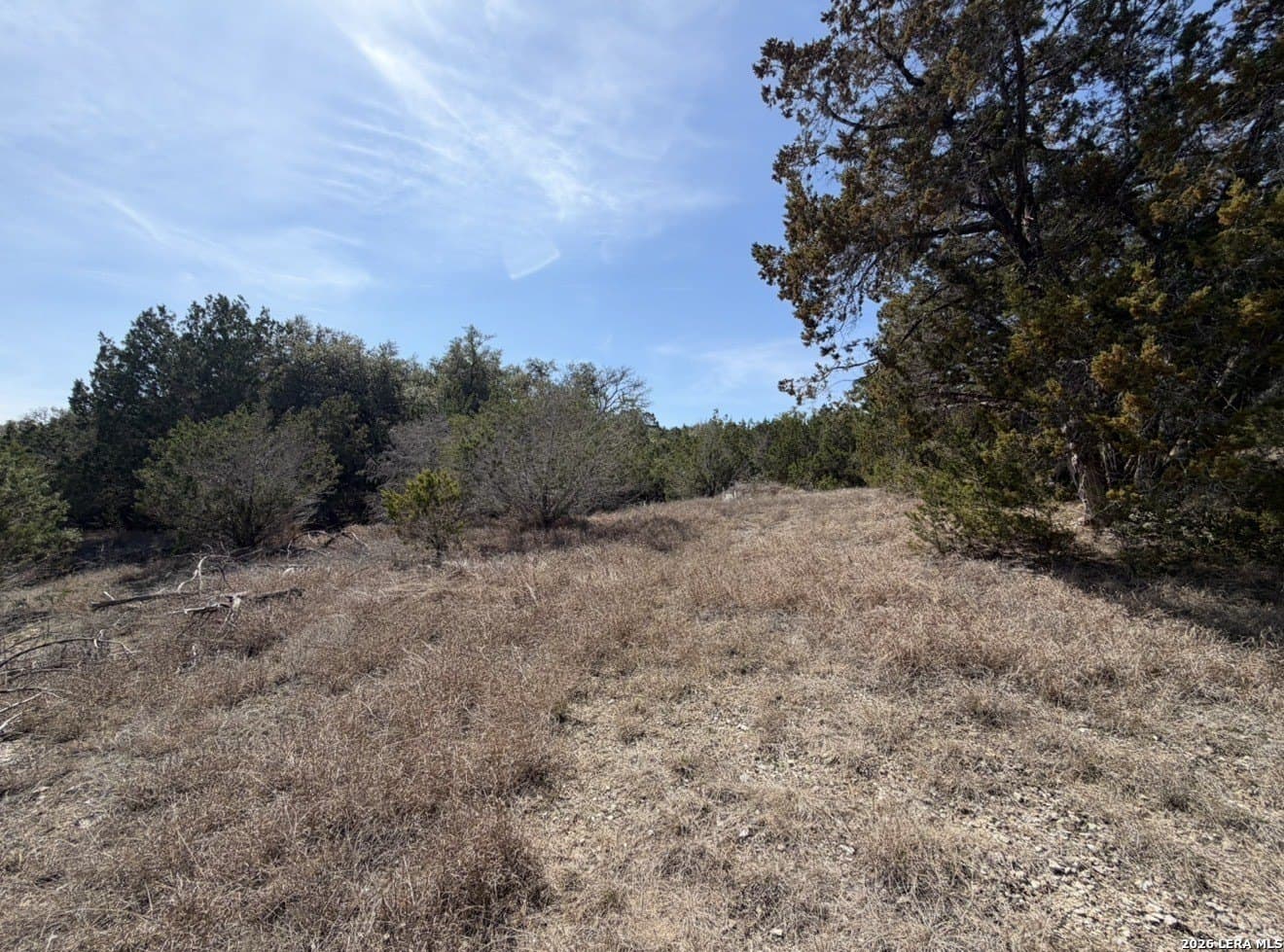 5 acres in Comal County - photo 8