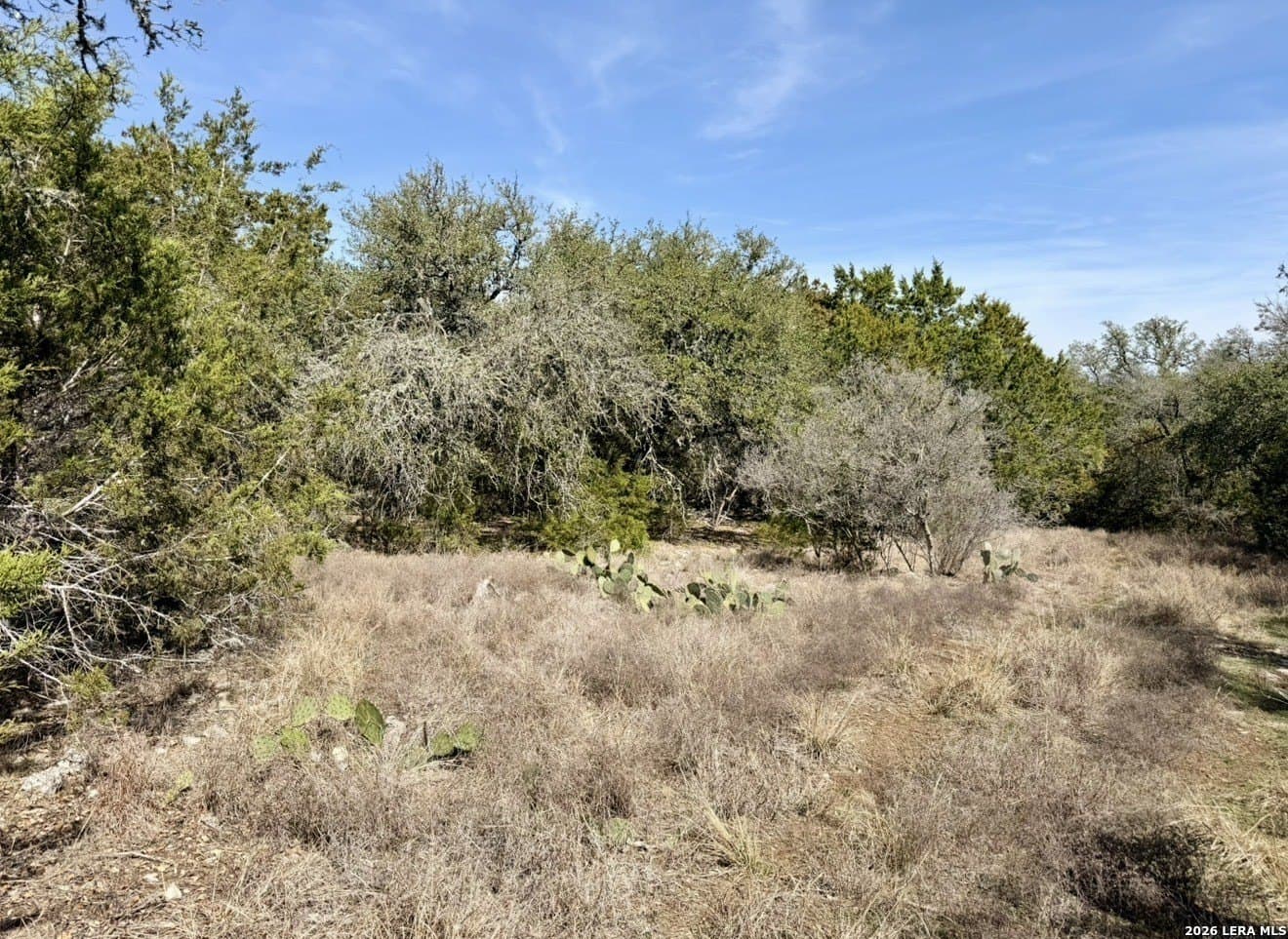 5 acres in Comal County - photo 5