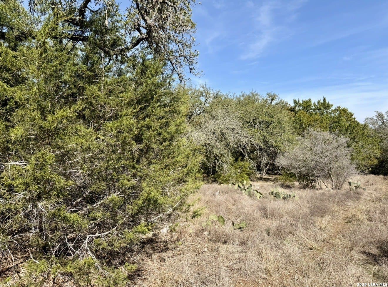 5 acres in Comal County - photo 4