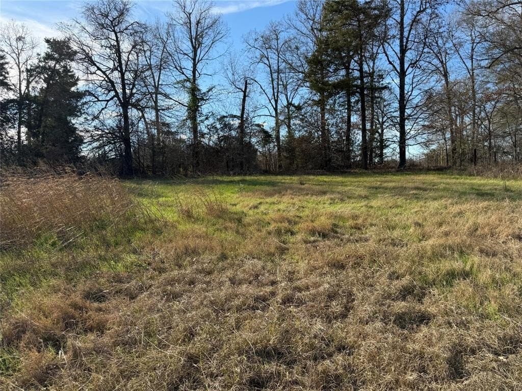 1.04 acres in Smith County - photo 5