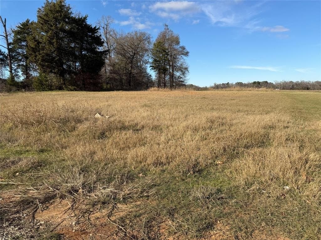 1.04 acres in Smith County - photo 7