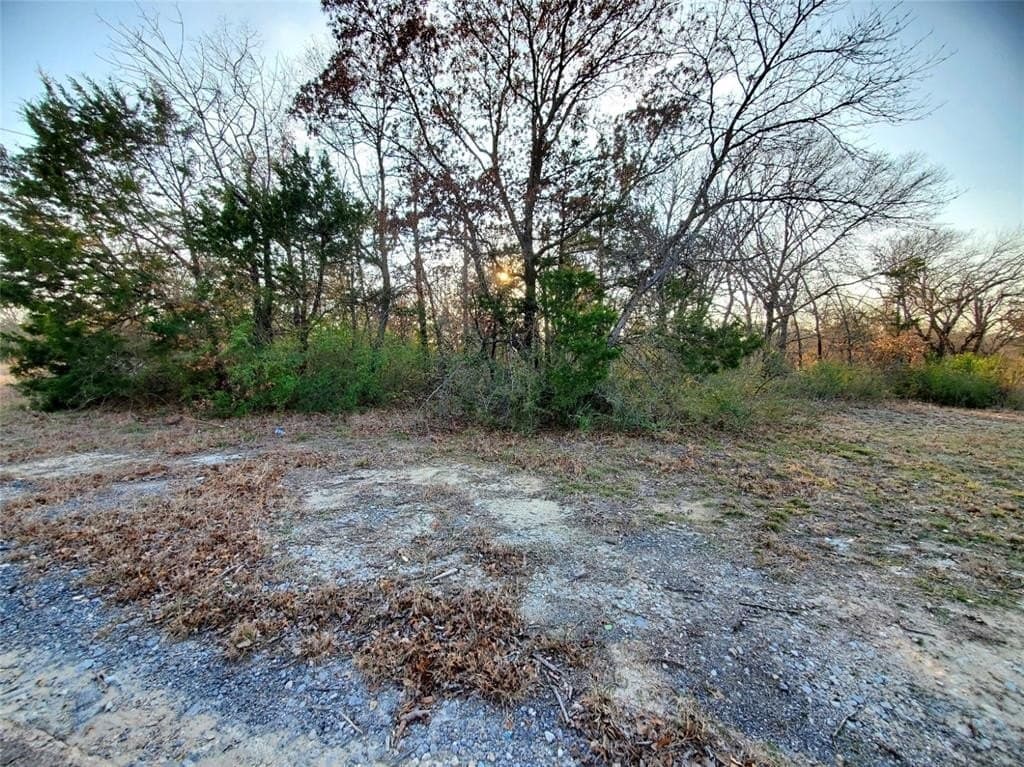 0.3 acres in Dallas County - photo 7