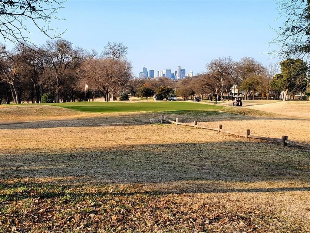 0.3 acres in Dallas County - photo 10