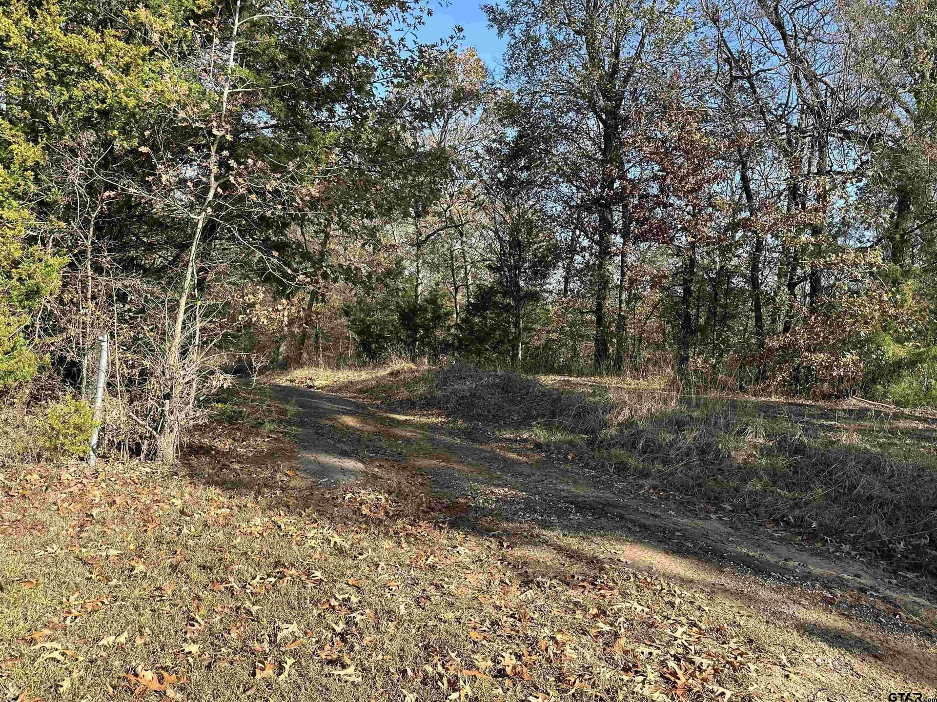 1.1 acres in Camp County - photo 2