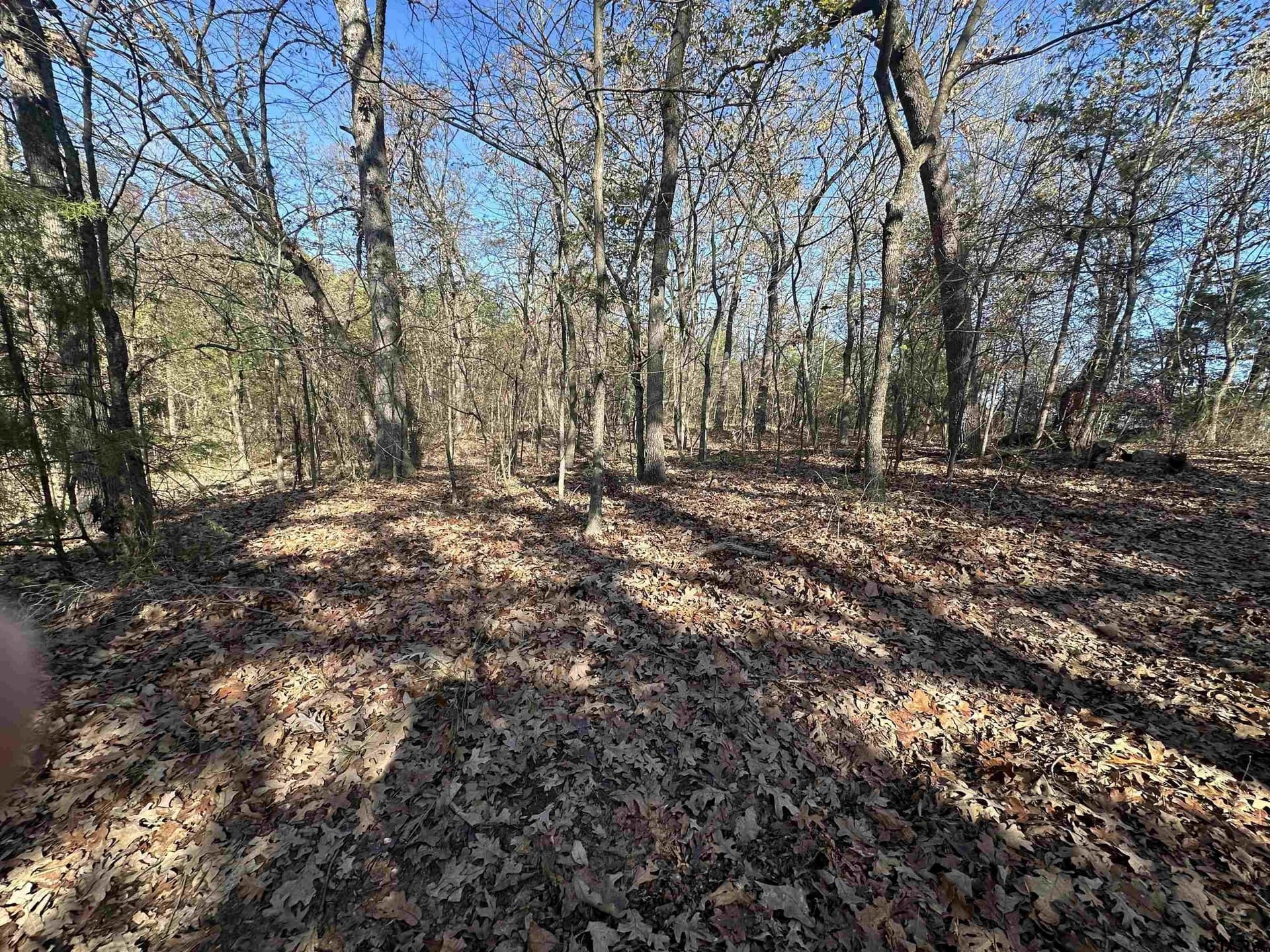 1.1 acres in Camp County - photo 3