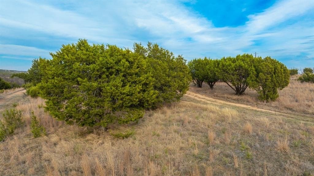 7.3 acres in Taylor County - photo 5