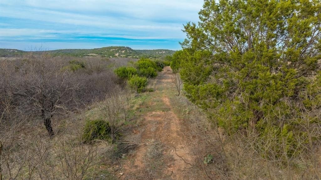 7.3 acres in Taylor County - photo 6