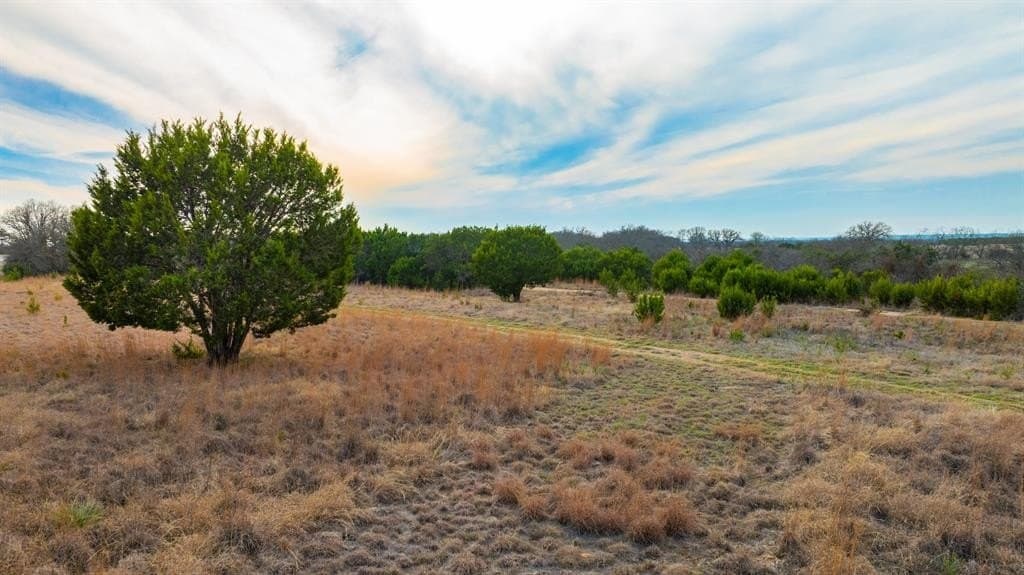 7.3 acres in Taylor County - photo 4