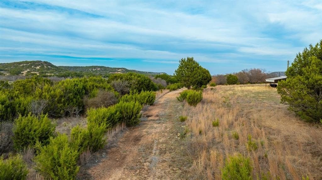 7.3 acres in Taylor County - photo 8